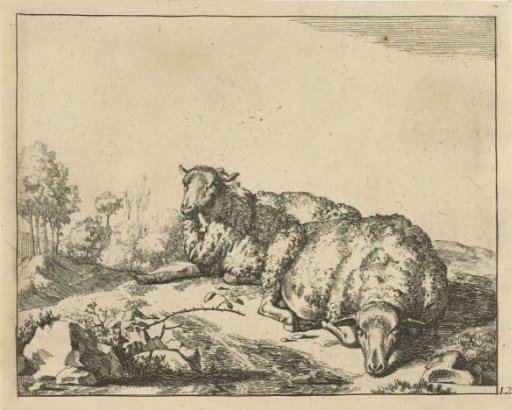 Two sheep lying beside a bramble branch