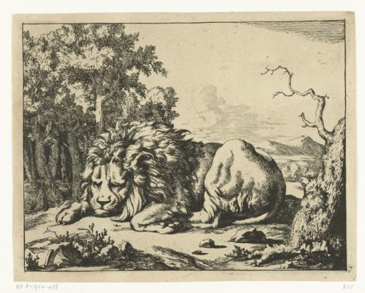 Sleeping lion