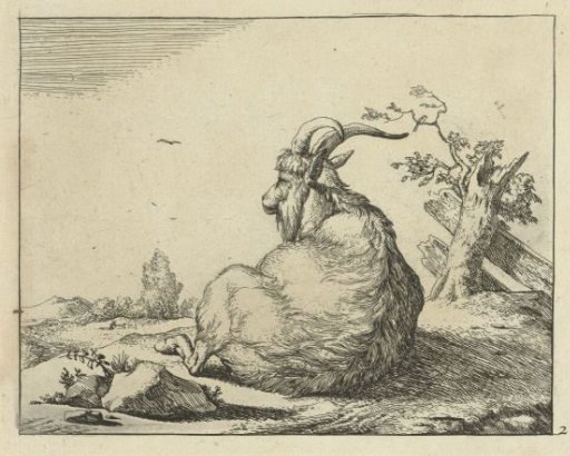 Ram seated beside a fallen tree