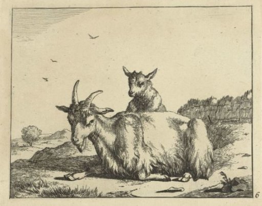Recumbent goat with a kid