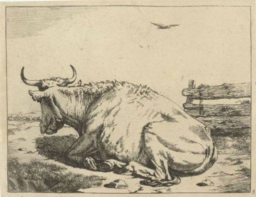 Cow lying by a fence