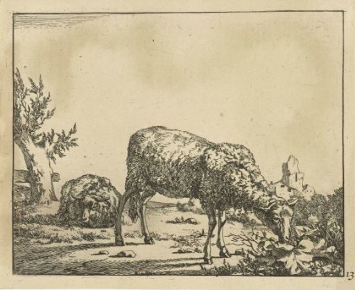 Grazing sheep and lying sheep by a fence