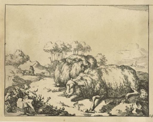 Two sheep, lying, with a shepherd in the background