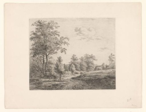 Landscape with Path at the Edge of a Forest