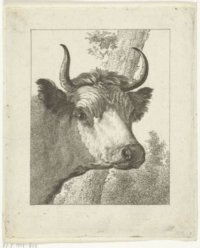 Cow's Head Facing Right