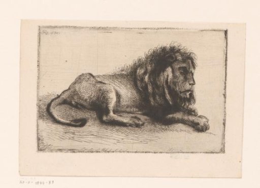 Sleeping lion