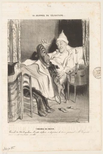 A Cat and Dog with the Bachelor in Bed