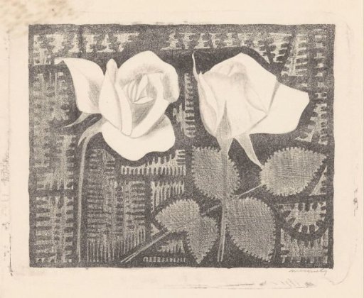 Two roses