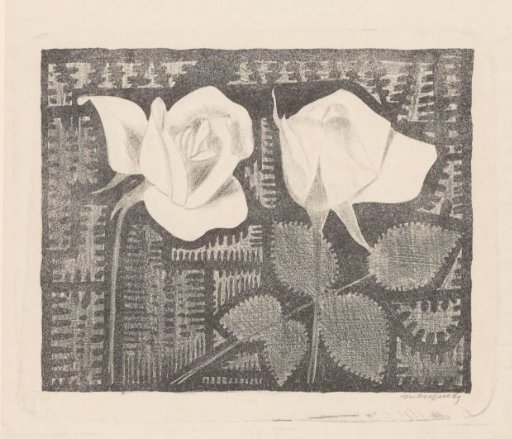 Two roses