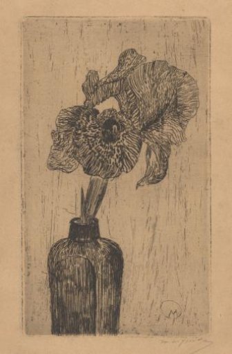 Iris in a vase