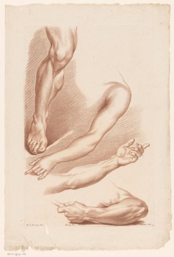 Three arms and one leg