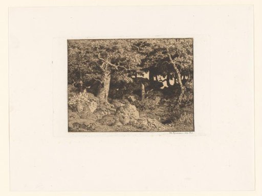 Oak trees on rocks