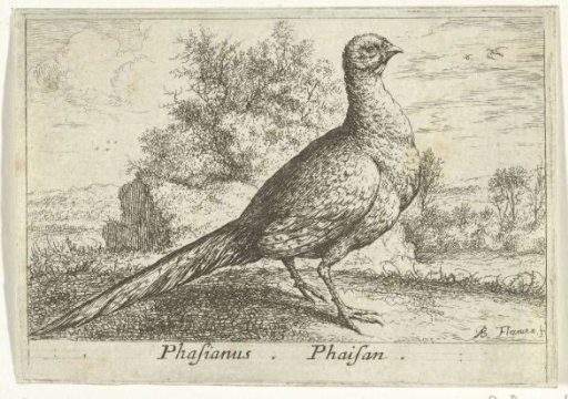 Landscape with a pheasant