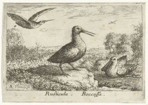 Landscape with three snipes
