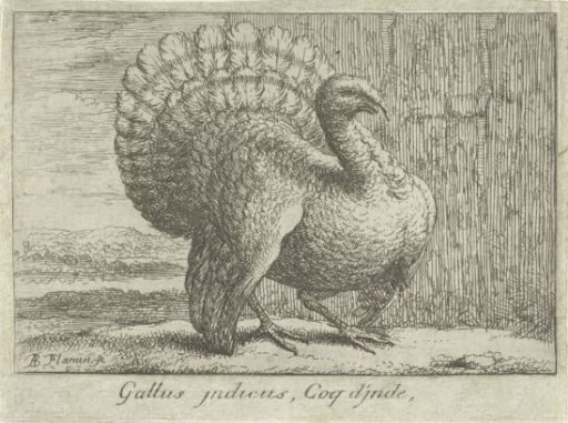 Landscape with a turkey