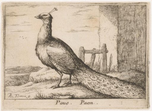 Landscape with a peacock