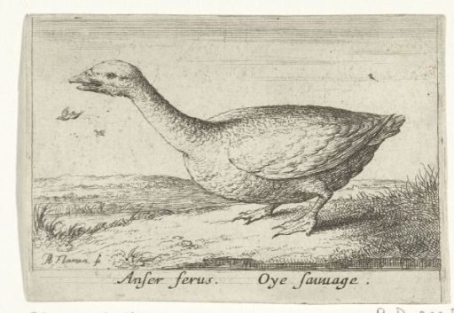 Landscape with a wild goose