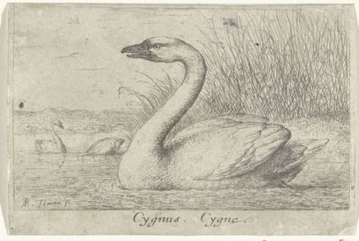 Landscape with a swan