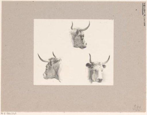 Three ox heads
