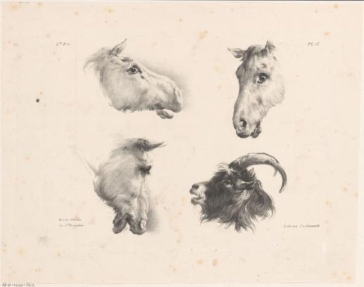 Three horse heads and a goat's head