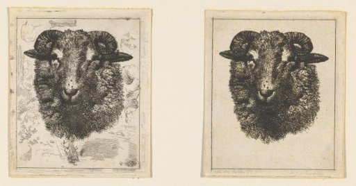 Ram's head