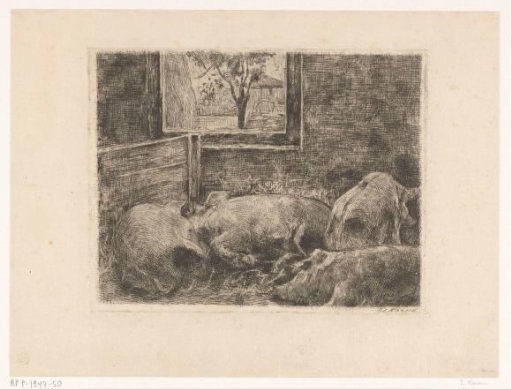 Pigs in a stable