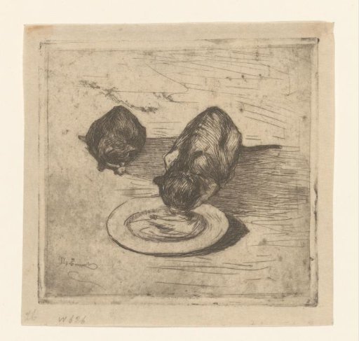 Two Cats, One Drinking from a Bowl