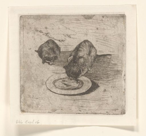 Two Cats, One Drinking from a Bowl