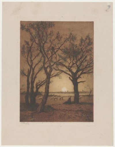 Landscape with sheep at sunset