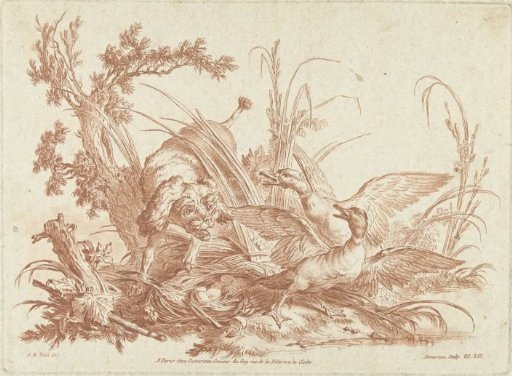 Barking Dog Chasing Ducks from a Nest