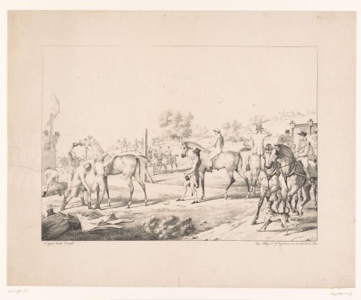 Preparation for the horse races