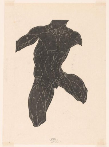 Anatomical study of the neck, abdominal, and thigh muscles of a man in silhouette