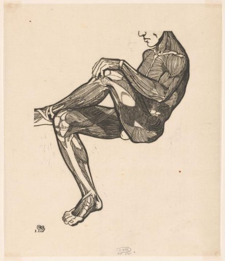 Anatomical study of the leg and arm muscles of a man