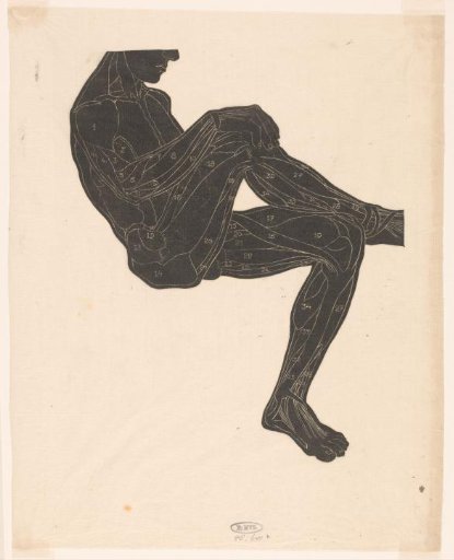 Anatomical study of the leg and arm muscles of a man in silhouette