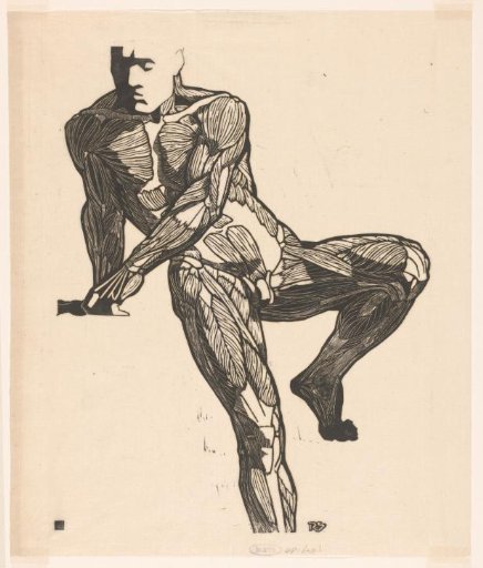 Anatomical Study Of The Chest, Abdominal, And Leg Muscles Of A Man