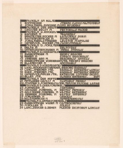 List Of Neck, Arm, And Side Muscles In German And Latin