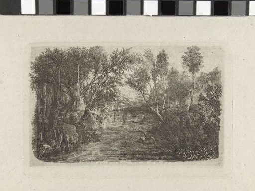 Landscape with stream and trees on banks