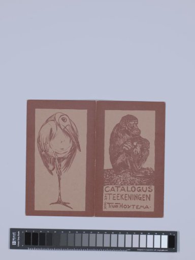 Catalogue Cover with Monkey and Bird