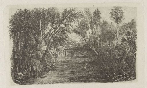 Landscape with stream and trees on banks