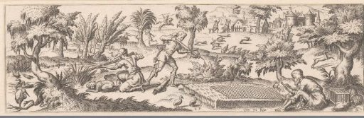 Hunt of Various Birds