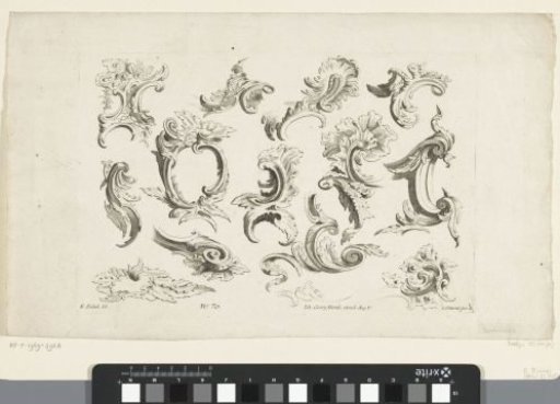 Scroll and Leaf-Shaped Rocaille Ornaments