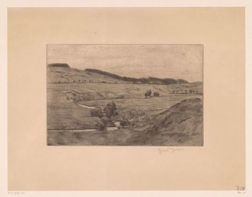 Hilly landscape