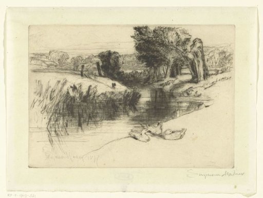 Inland water with three ducks