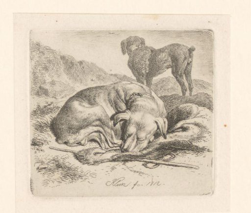 Standing and sleeping dog