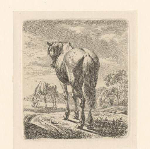 Two horses