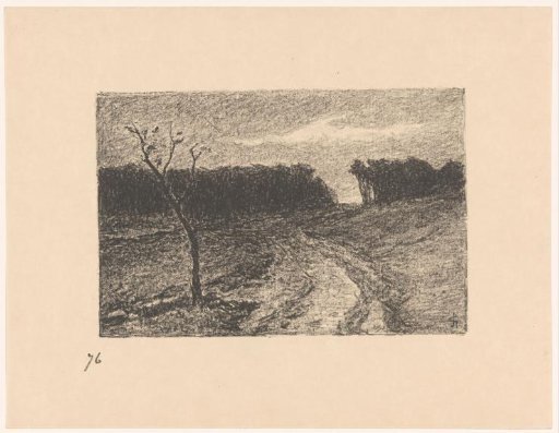 Woodland Edge