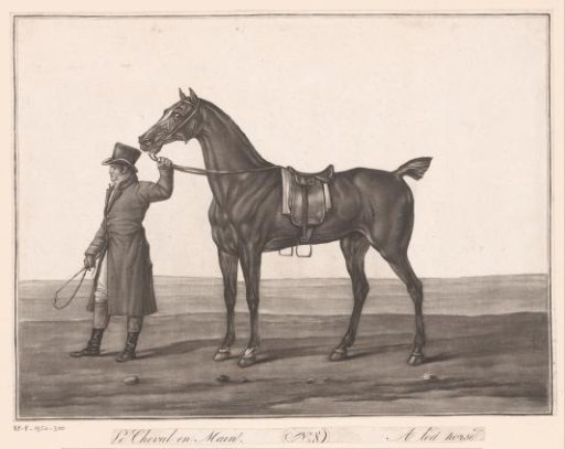 Rider Leading a Horse