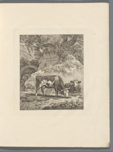 Landscape with two cattle near a rock