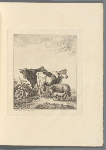 Landscape with cattle
