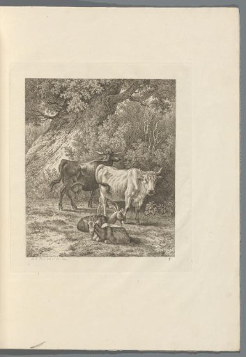 Wooded landscape with cattle and goats